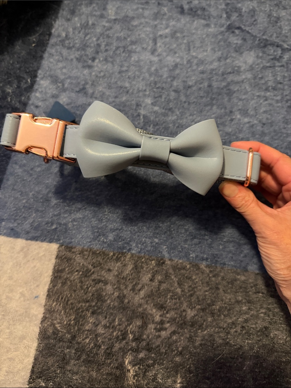 Light Blue Bow Collar with Rose Gold Buckle